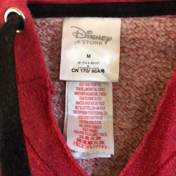 Minnie Mouse Chicago in the Windy City hoodie - Picture 3 of 6